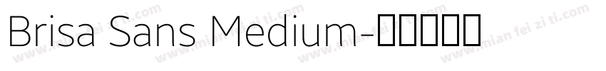 Brisa Sans Medium字体转换